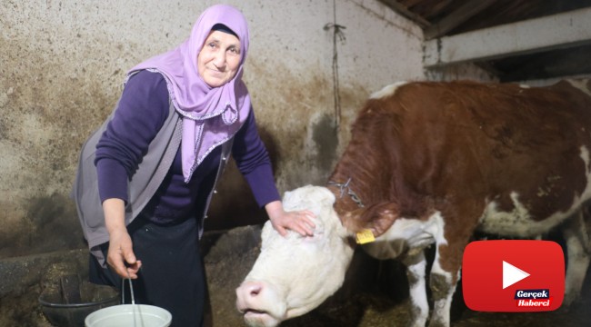 64 yaşındaki şair Latife teyze 25 kişiye rakip oldu