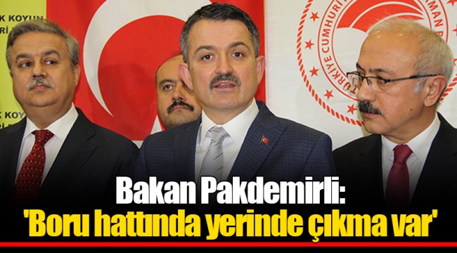Bakan Pakdemirli: 'Boru hattında yerinde çıkma var'