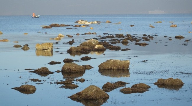 Burhaniye’de deniz çekildi, 2 bin 500 yıllık liman ortaya çıktı