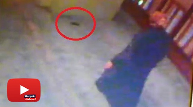 Camide unutulan cep telefonunu böyle çaldı