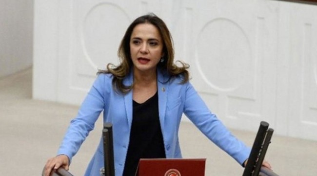CHP'li İlgezdi: 2019'da Meclis'e sunulan 962 kanun teklifinin 28'i yasalaştı