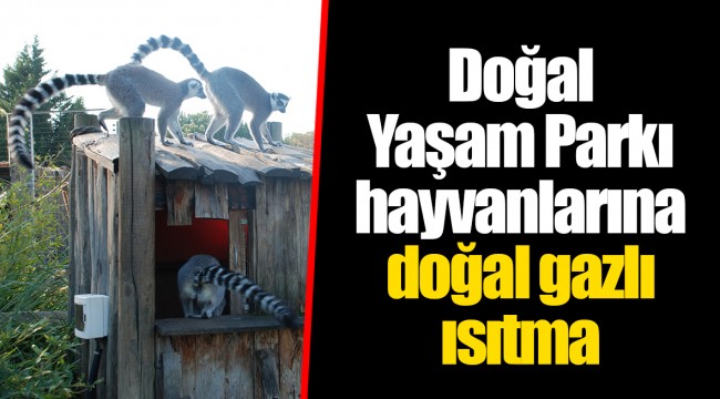 Doğal Yaşam Parkı hayvanlarına doğal gazlı ısıtma