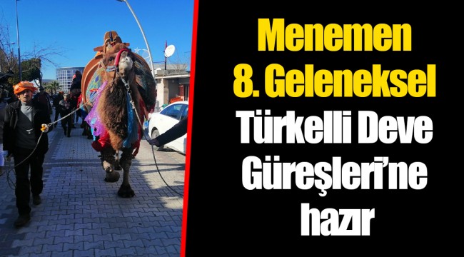 Menemen 8. Geleneksel Türkelli Deve Güreşleri’ne hazır