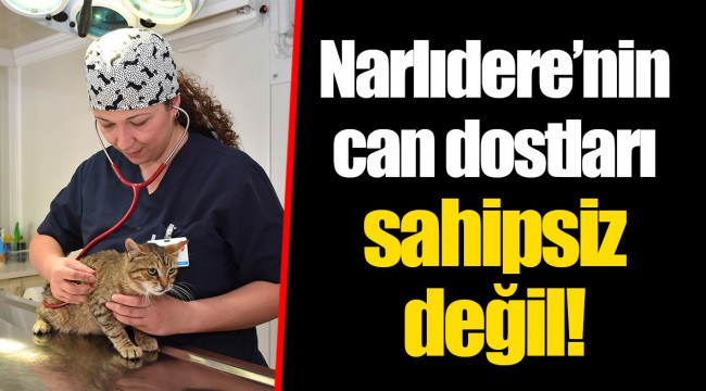 Narlıdere’nin can dostları sahipsiz değil !