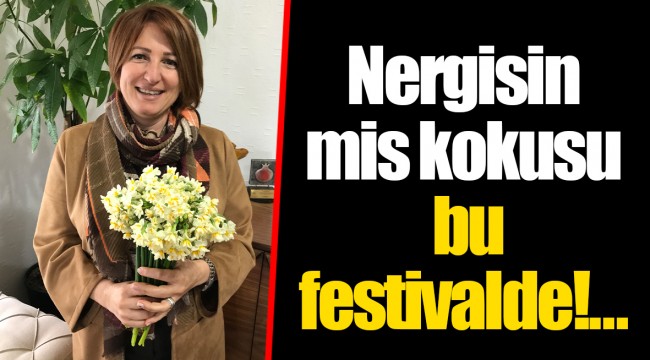 Nergisin mis kokusu bu festivalde!… 