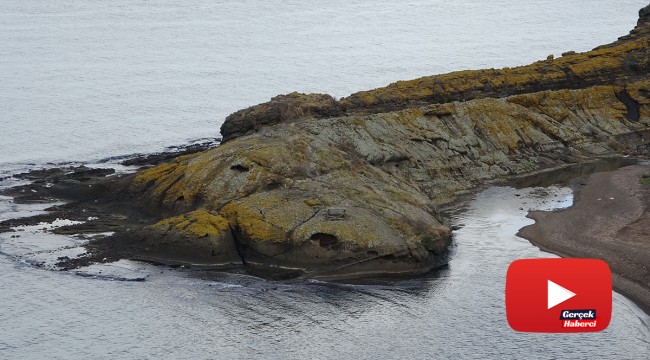 Şaşırtan ‘Timsah Adası’ havadan görüntülendi