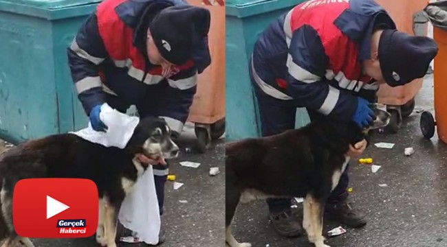 Temizlik işçisi yağmurdan ıslanan köpeği kuruladı, içleri ısıttı