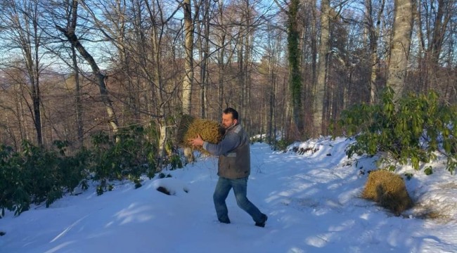 Yaban hayvanlarına yem ve yiyecek desteği verildi