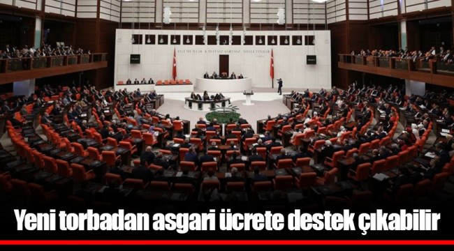 Yeni torbadan asgari ücrete destek çıkabilir