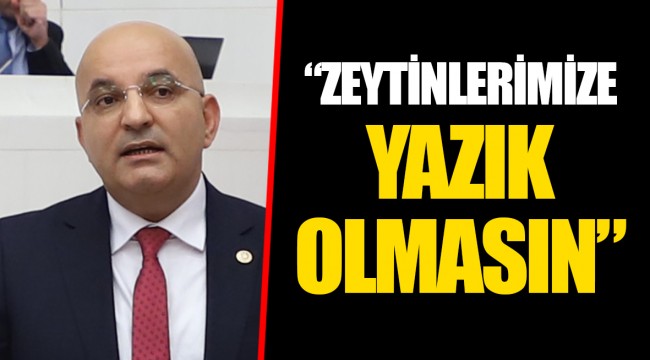 “ZEYTİNLERİMİZE YAZIK OLMASIN”