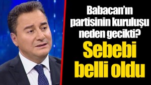 Babacan’ın partisinin kuruluşu neden gecikti? Sebebi belli oldu