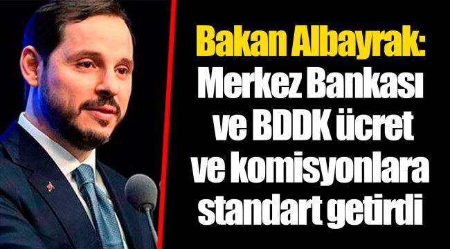 Bakan Albayrak: Merkez Bankası ve BDDK ücret ve komisyonlara standart getirdi