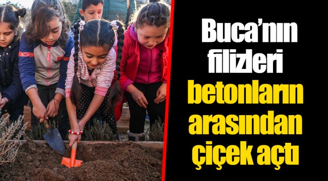 Buca’nın filizleri betonların arasından çiçek açtı
