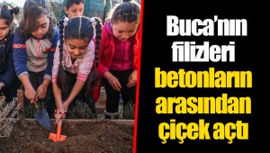  Buca’nın filizleri betonların arasından çiçek açtı 