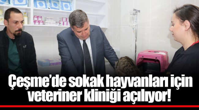 Çeşme’de sokak hayvanları için veteriner kliniği açılıyor!