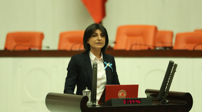 CHP'li Özdemir: Bankacılık Kanunu teklifiyle ilgili büyük eksiklikler var