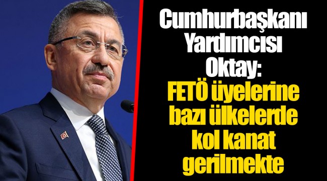 Cumhurbaşkanı Yardımcısı Oktay: FETÖ üyelerine bazı ülkelerde kol kanat gerilmekte