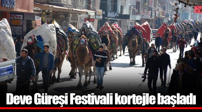 Deve Güreşi Festivali kortejle başladı