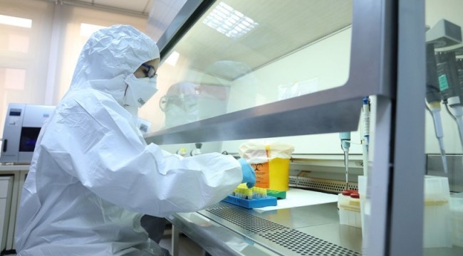 Dünya Sağlık Örgütü, koronavirüs için küresel risk seviyesini 'yüksekten', 'çok yüksek' seviyesine çıkardı