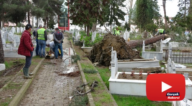 Fırtına nedeniyle 15 mezar tahrip oldu