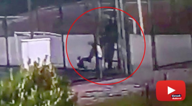 İstanbul’da köpeği defalarca tekmeleyen şahıs kamerada