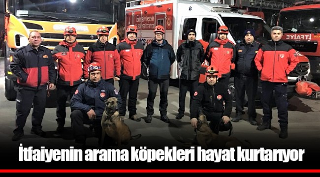 İtfaiyenin arama köpekleri hayat kurtarıyor