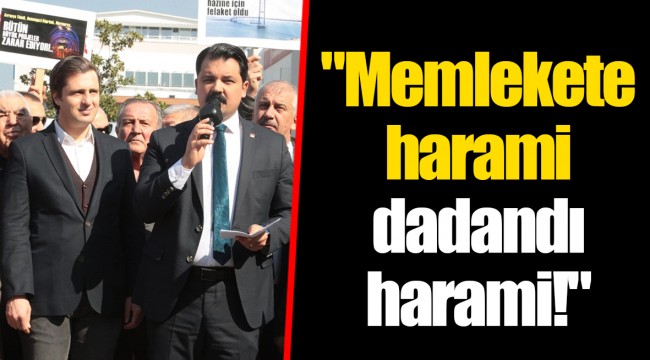 "Memlekete harami dadandı harami!"