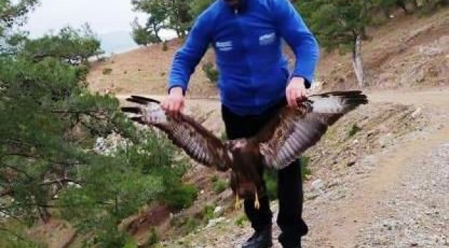 Şahin avcısına 12 bin 875 lira ceza
