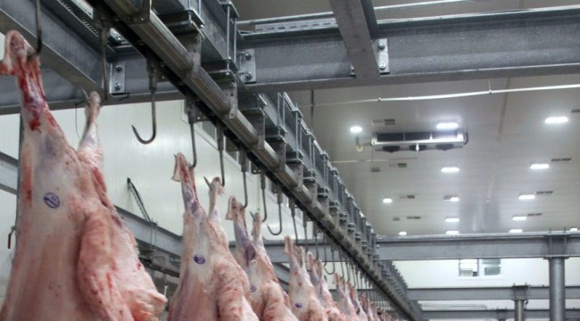 Şarbon hastalığı mezbaha ve havyan pazarını kapattırdı