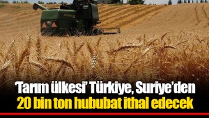'Tarım ülkesi' Türkiye, Suriye'den 20 bin ton hububat ithal edecek