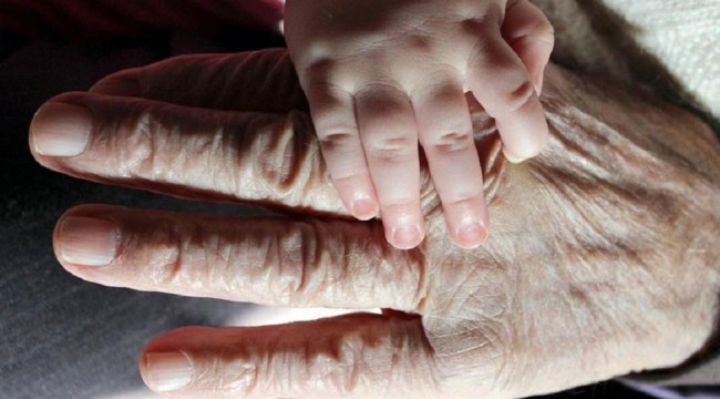 Türkiye'deki yaşlı nüfusu arttı