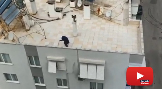 65 yaş üstü yaşlı teyze dışarı çıkamayınca çatıda gezdi