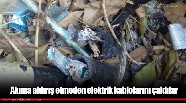 Akıma aldırış etmeden elektrik kablolarını çaldılar