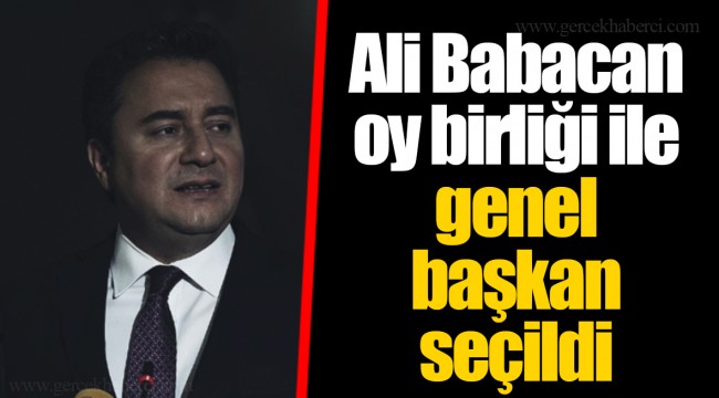 Ali Babacan oy birliği ile genel başkan seçildi