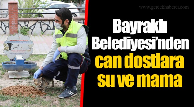 Bayraklı Belediyesi’nden can dostlara su ve mama