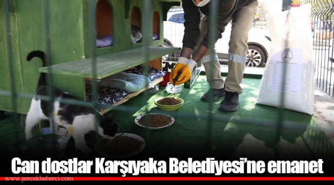 Can dostlar Karşıyaka Belediyesi’ne emanet