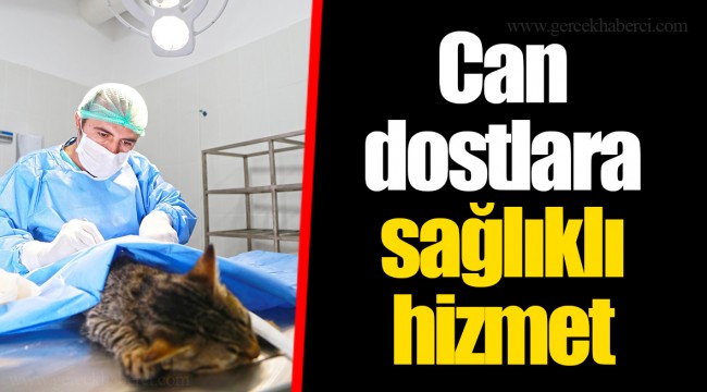 Can dostlara sağlıklı hizmet