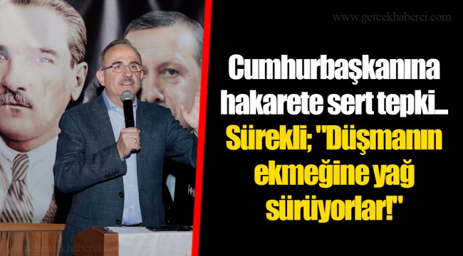 Cumhurbaşkanına hakarete sert tepki...  Sürekli; "Düşmanın ekmeğine yağ sürüyorlar!"
