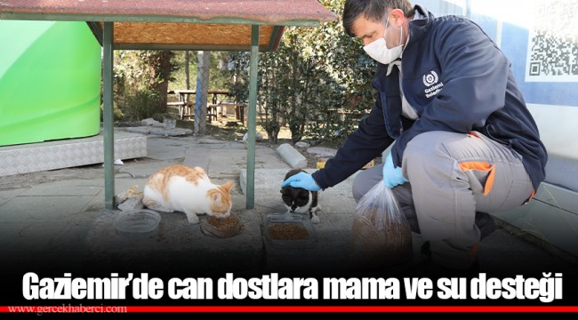 Gaziemir’de can dostlara mama ve su desteği