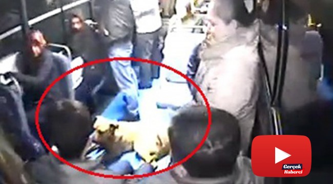 Halk otobüsüne binen köpeği gören vatandaşlar büyük panik yaşadı