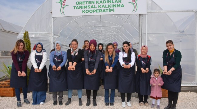 Kızıltepeli kadınlar Dünya Kadınlar Günü'nde kooperatif kurdu