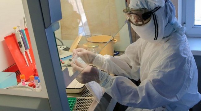 Korona virüsü Bulgaristan’a da sıçradı