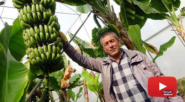 Korona'ya inat Türk çiftçisi üretiyor