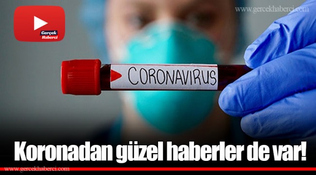 Koronadan güzel haberler de var!