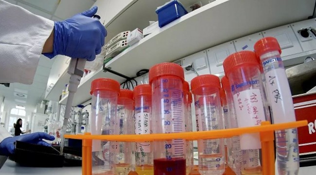 Optimar: Türk halkının yüzde 94’ü koronavirüse karşı bireysel önlem almıyor