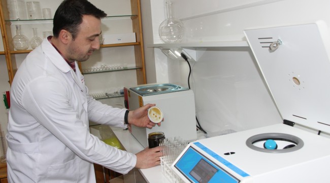Piyasadaki sahte ballar için arıcılar harekete geçti
