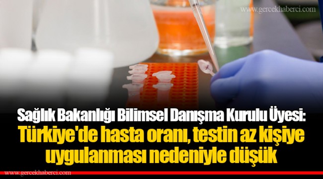 Sağlık Bakanlığı Bilimsel Danışma Kurulu Üyesi: Türkiye'de hasta oranı, testin az kişiye uygulanması nedeniyle düşük