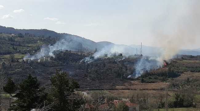 Türkeli ve Ayancık'ta orman yangını