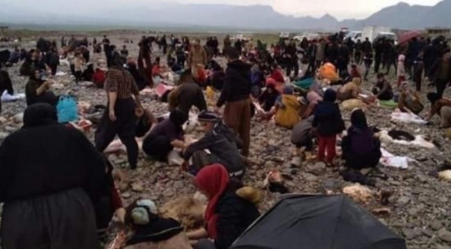 Virüse karşı koyun kurban ettiler