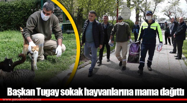 Başkan Tugay sokak hayvanlarına mama dağıttı 